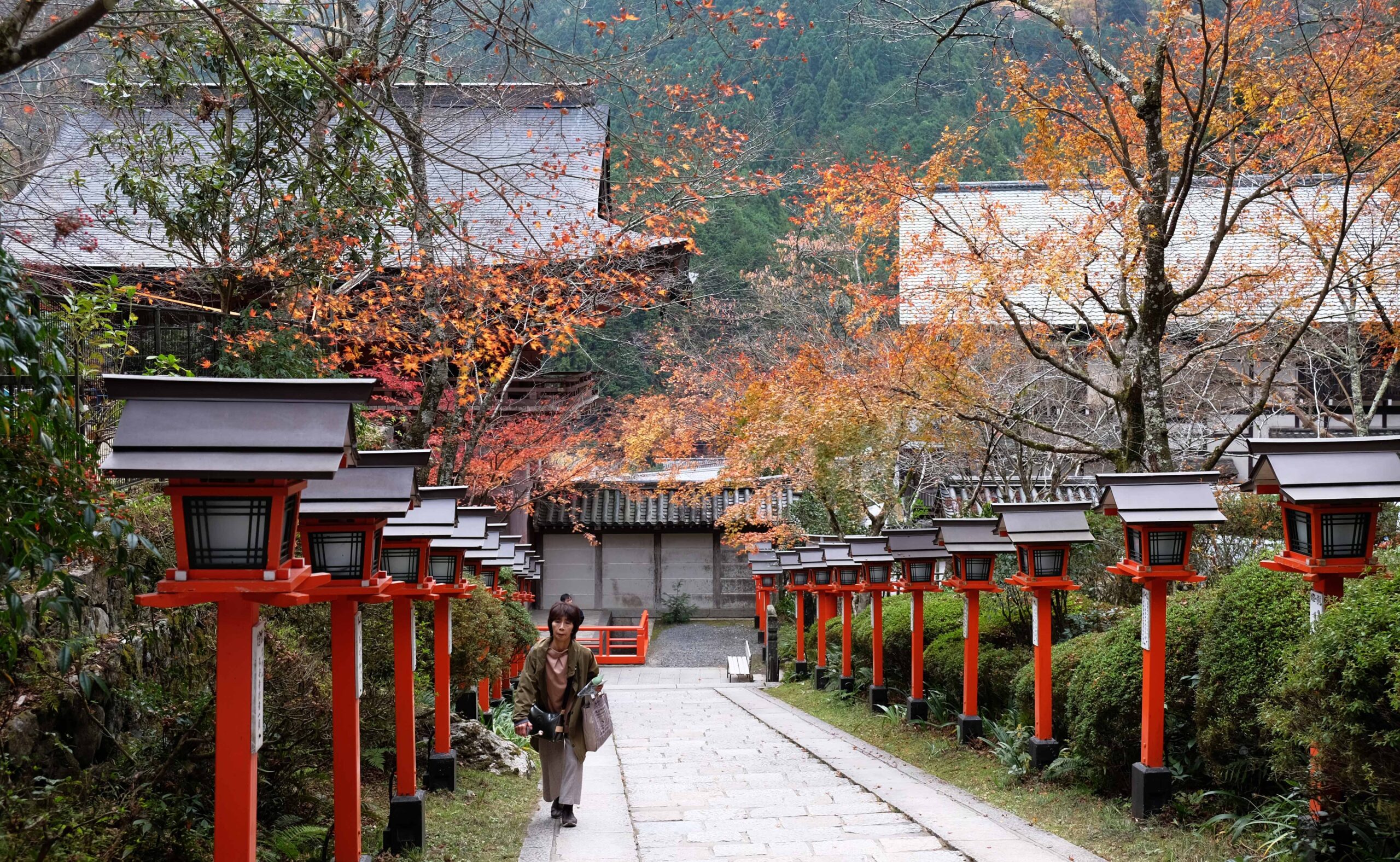 Steps leading up to a temple, autumn foliage, red posts with lanterns