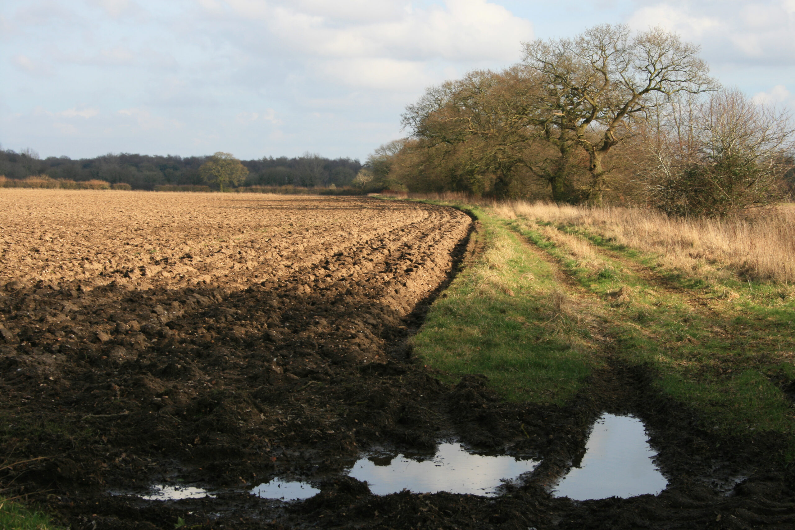 Puddles by the edge of a field in Rougham