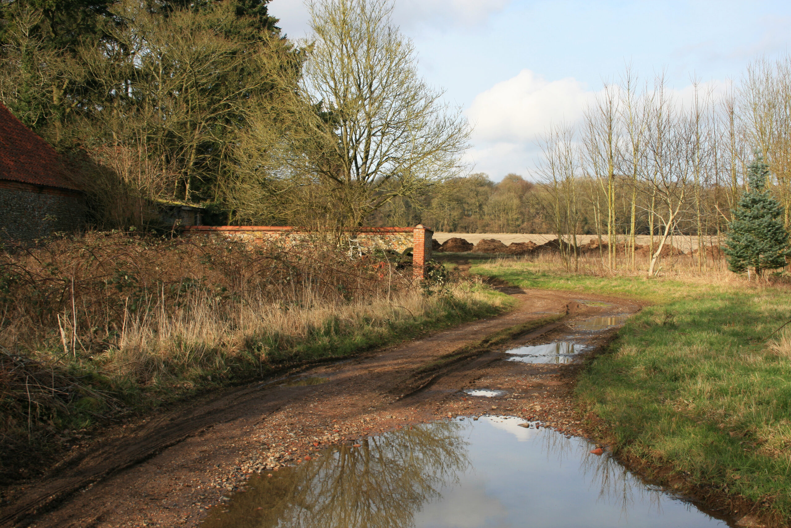 Path and puddles leading to fields at Rougham