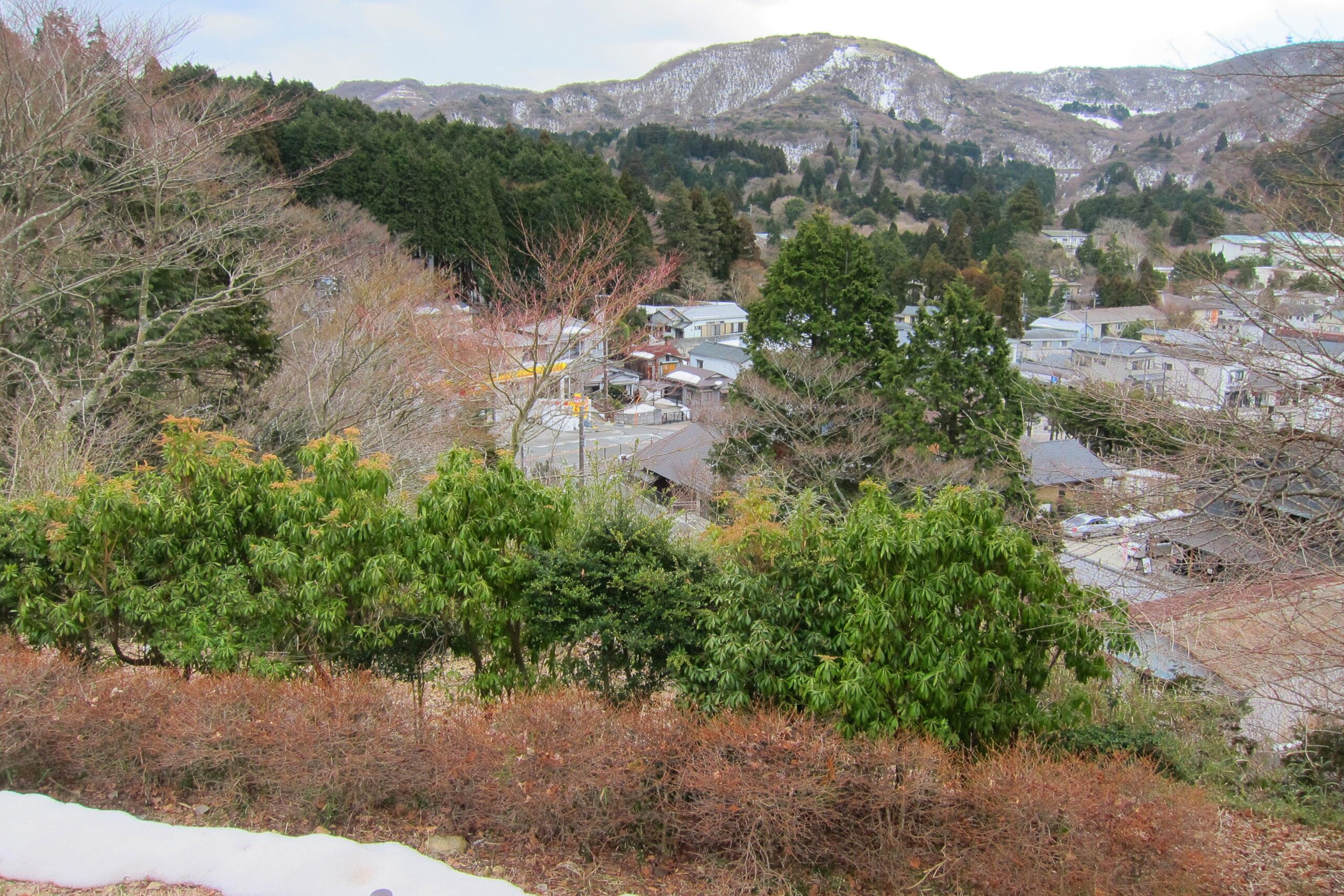 View of houses nestled under the mountains in Hakone